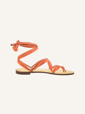 🎁 Suede Ribbons (100% off)