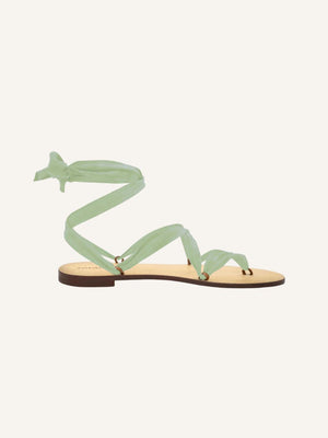 🎁 Suede Ribbons (100% off)