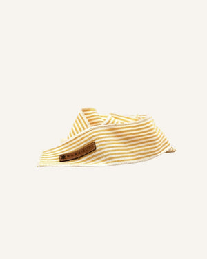Elegance ribbons