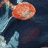 Blue Cherry