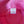 Bucket Hat - Pink