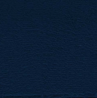 Midnight Blue
