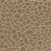 Desert Sand