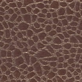 Desert Brown