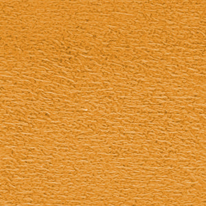 Tuscan Sun
