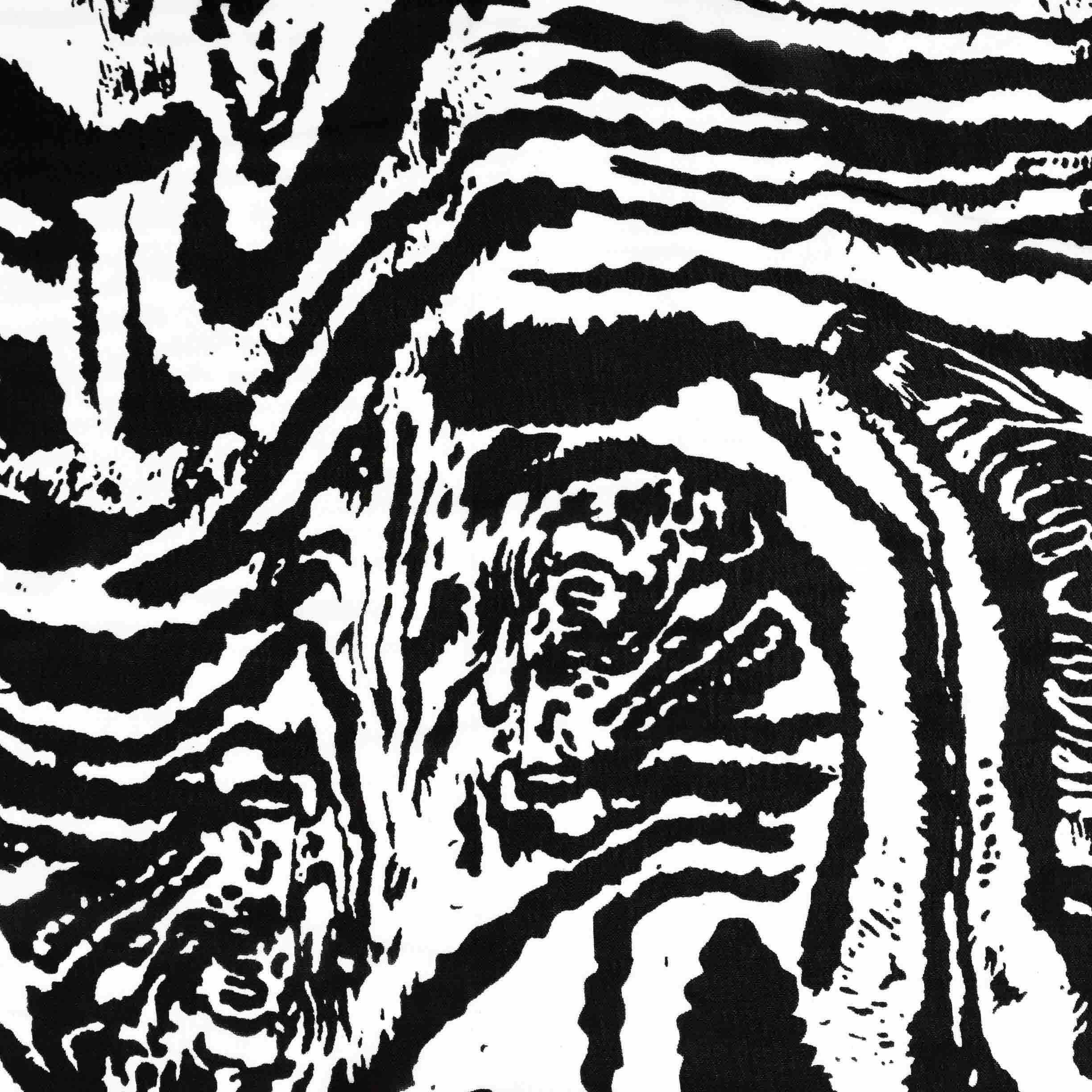 Zebra Skin