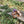 Acapulco beige vegan sandals placed on wooden bench with wildflowers in nature, sustainable summer footwear for women