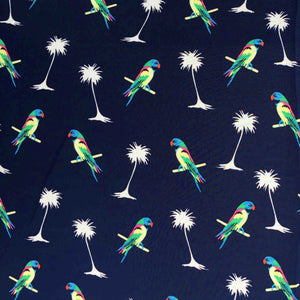 Blue Parrot