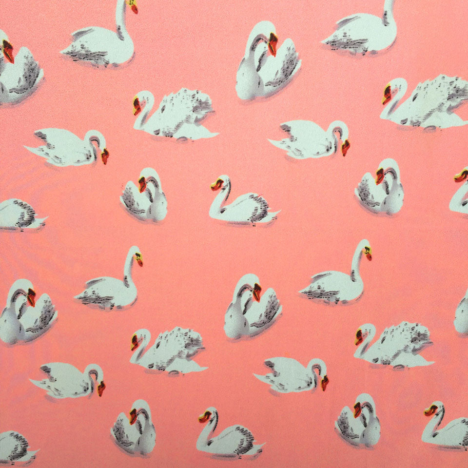 Pink Swan