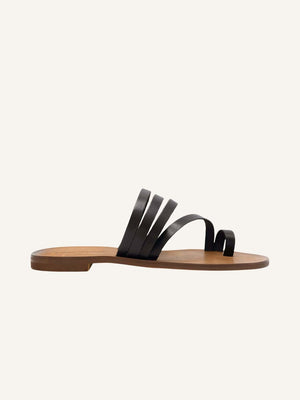 Xico - Brown