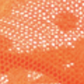 Goa Orange